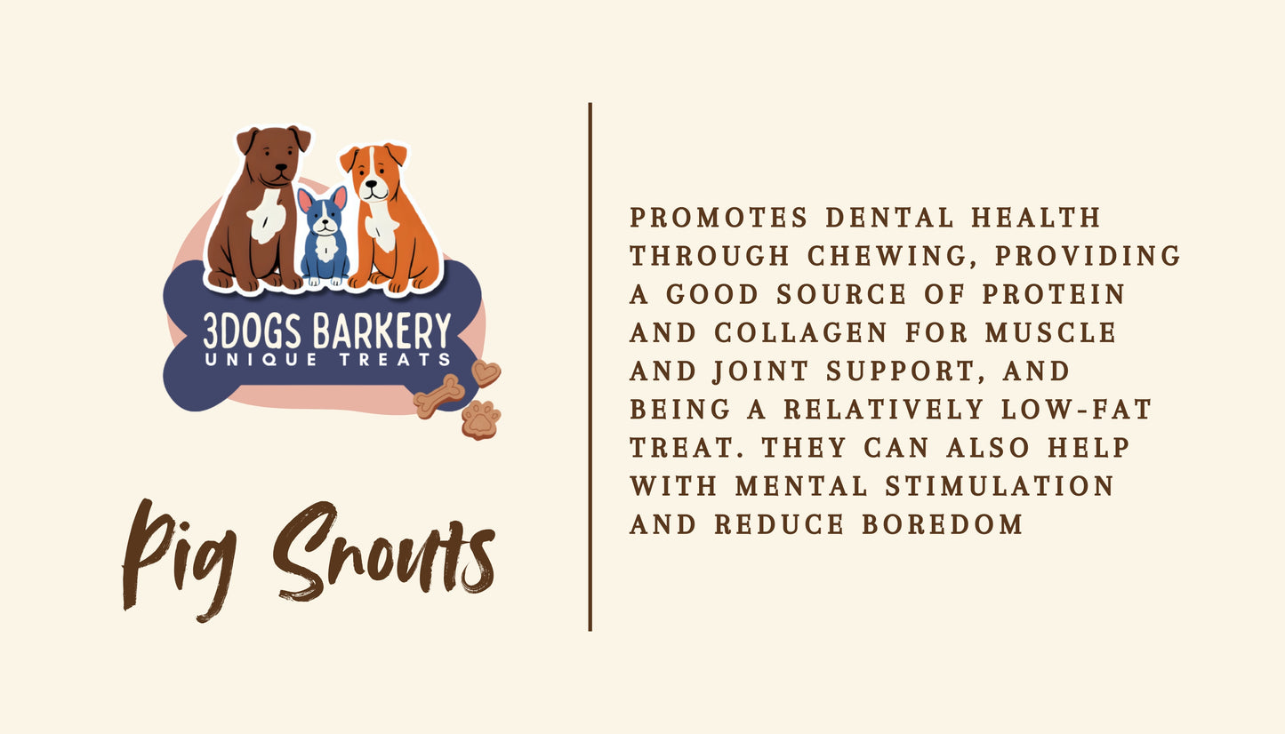 Pig Snout Chews
